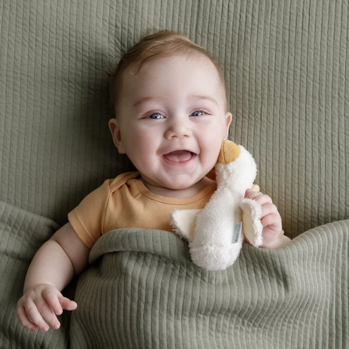  Igračka zvečka - Škripavac mala guska LD8501, igračka za bebe koja je i zvečka jer ispušta zvuke